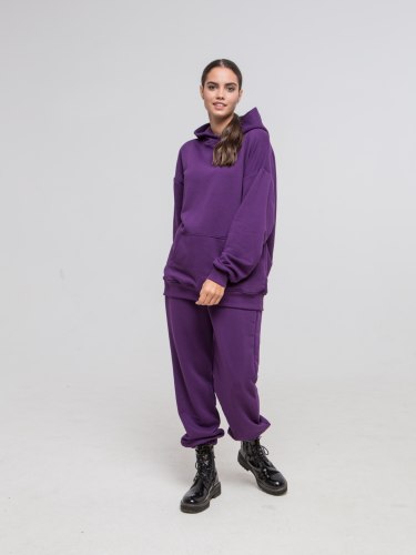 Спортивный костюм фиолетовый HEDONIST