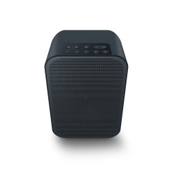 Беспроводная Hi-Fi акустика Bluesound Pulse Flex 2i