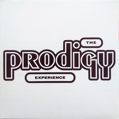 Виниловая пластинка PRODIGY - EXPERIENCE (2 LP)