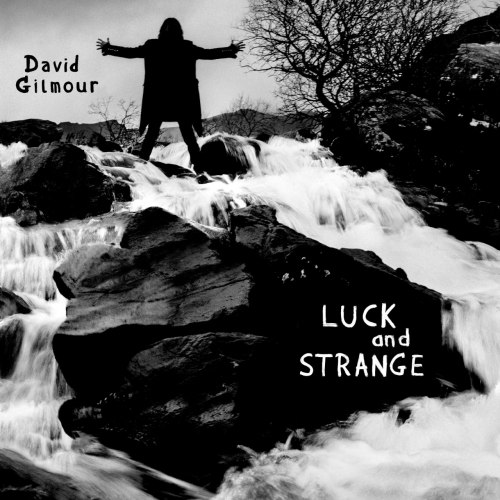 Виниловая пластинка DAVID GILMOUR - Luck And Strange