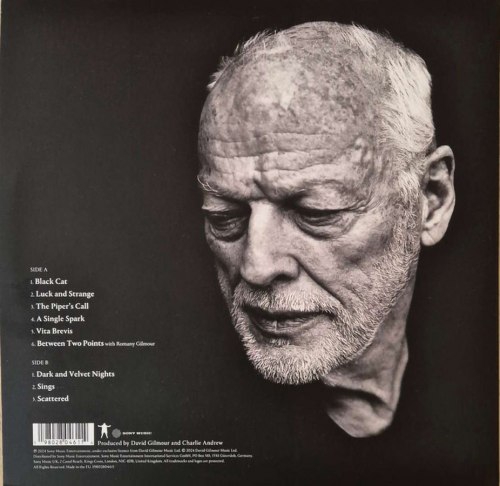 Виниловая пластинка DAVID GILMOUR - Luck And Strange