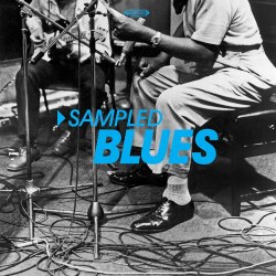 Виниловая пластинка VARIOUS ARTISTS - Sampled Blues (2LP)