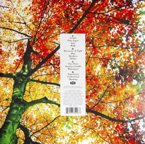 Виниловая пластинка LUDOVICO EINAUDI - In A Time Lapse (2LP) (Italy)