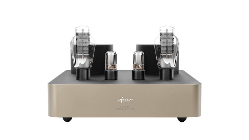 Фонокорректор Fezz Audio Mira Ceti 300b Power Amplifier EVO Big Calm