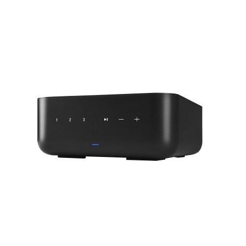 Усилитель мощности Denon Home Amp