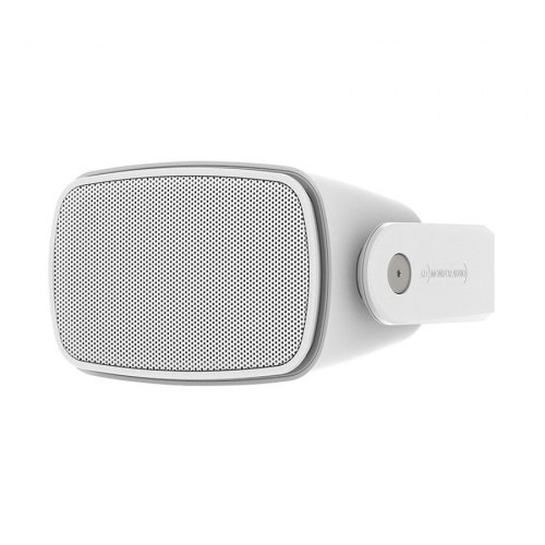 Всепогодная акустика Monitor Audio Climate CL2 S