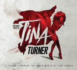 Виниловая пластинка VARIOUS ARTISTS - The Many Faces Of Tina Turner – A Journey Through The Inner World Of Tina Turner (Coloured Vinyl)(2LP)
