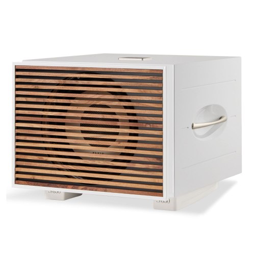 Сабвуфер REL S850