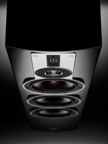 Напольная акустика DALI Rubicon 8