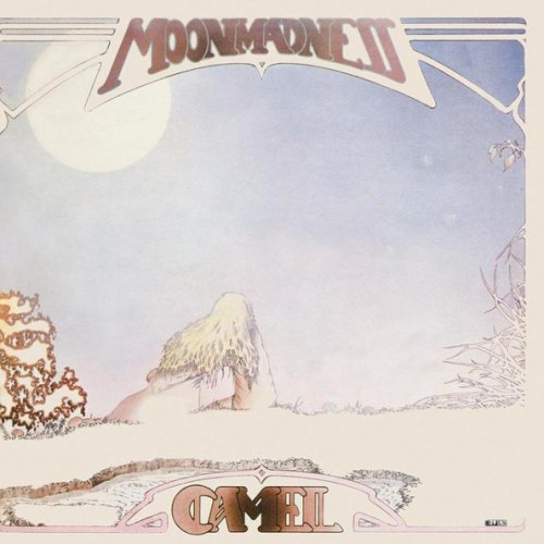 Виниловая пластинка Camel - Moonmadness (Black Vinyl LP)