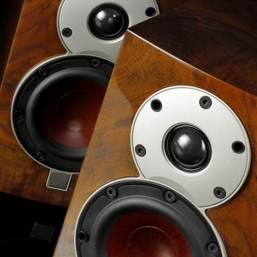 Полочная акустика DALI MENUET SE