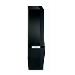 Усилитель мощности Naim Audio Statement NAP S1 R