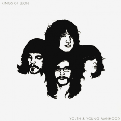 Виниловая пластинка Kings Of Leon - Youth & Young Manhood