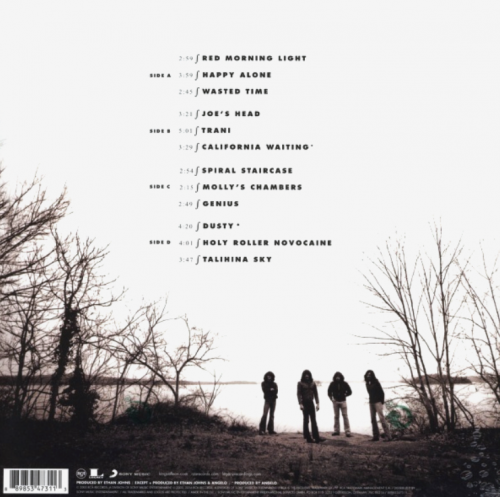 Виниловая пластинка Kings Of Leon - Youth & Young Manhood
