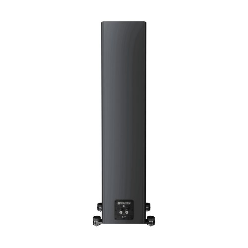 Напольная акустика Perlisten A3t Black