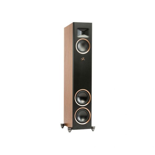 Напольная акустика Martin Logan Motion F20 (A)
