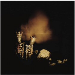 Виниловая пластинка Pearl Jam - Riot Act (2LP)