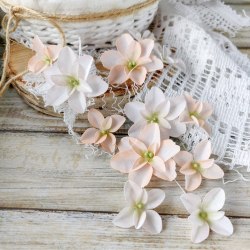 Гортензии Дуболистные, пудрово-персиковые, Pastel Flowers