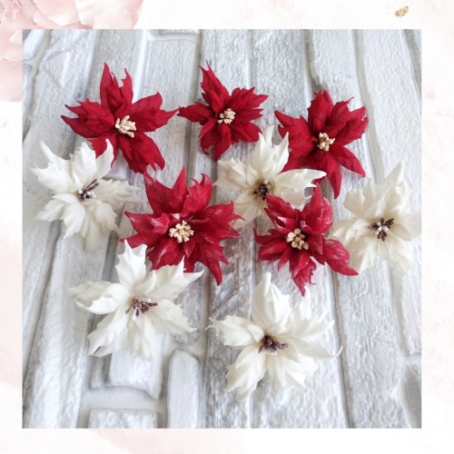 Набор пуансетий "Holiday Spirit", Flower magic