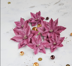 Набор цветов «Пуансетии» бордовые Pastel Flowers