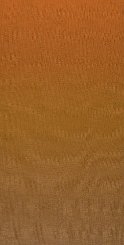 Пряжа Лайнес Дю Норд Поэма (Laines Du Nord Poema) 305 оранжевый/темный