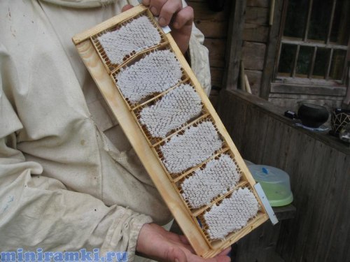 Рамка для сотового меда (деревянная)
