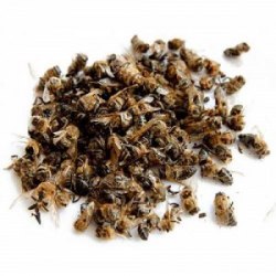 Пчелиный подмор летний, сушеный (30г)