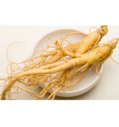 Женьшень (корень)