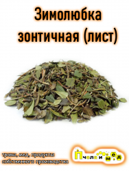 Зимолюбка зонтичная (лист)