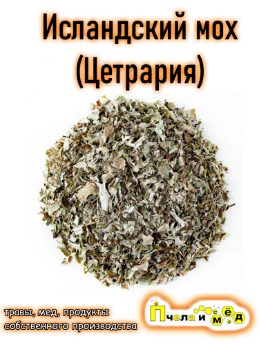 Исландский мох (Цетрария исландская), цельная