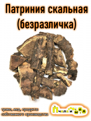 Патриния скальная (Безразличка), корень