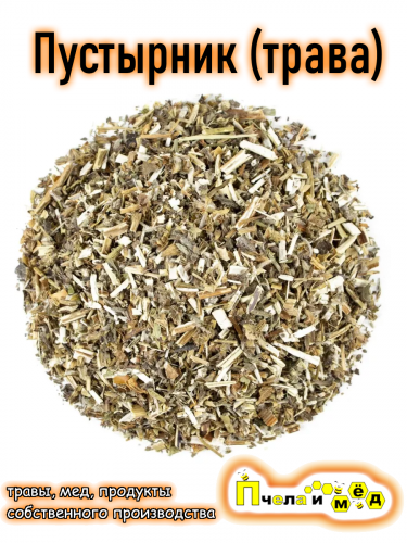 Пустырник (трава)