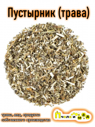 Пустырник (трава)