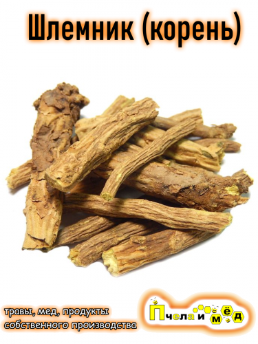 Шлемник байкальский (корень)