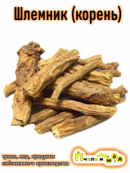 Шлемник байкальский (корень)