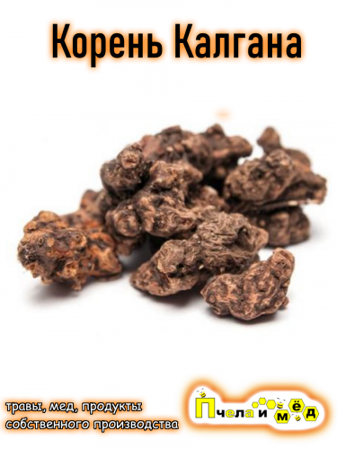 Калган корень (Лапчатка прямостоячая)