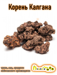 Калган корень (Лапчатка прямостоячая)