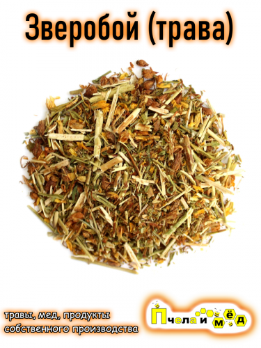 Зверобой трава