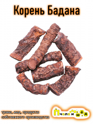 Бадан корень