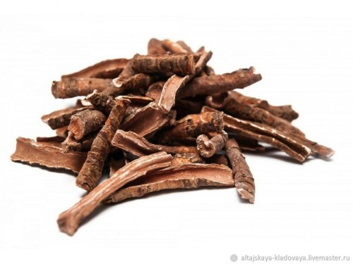 Бадан корень