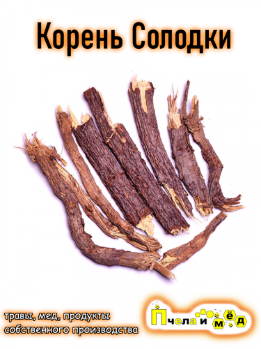 Корень Солодки
