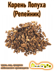 Корень Лопуха (Репейник)