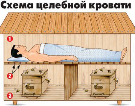 Сон на ульях. Апитерапия в апидомике в г. Могилев (сеанс - 2 часа)
