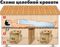 Сон на ульях. Апитерапия в апидомике в г. Могилев (сеанс - 2 часа)