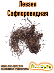 Левзея сафлоровидная (маралий корень)