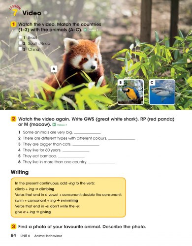 Look 3 Student's Book National Geographic Learning / Підручник для учня