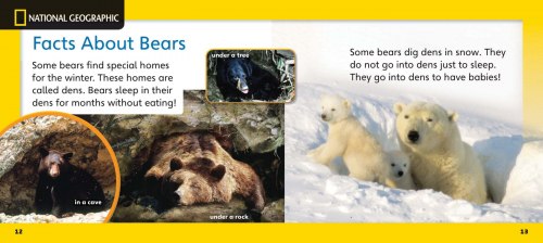 Our World Big Book 1: Three Bears National Geographic Learning / Книга для читання