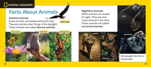 Our World Big Book 2: My Day National Geographic Learning / Книга для читання
