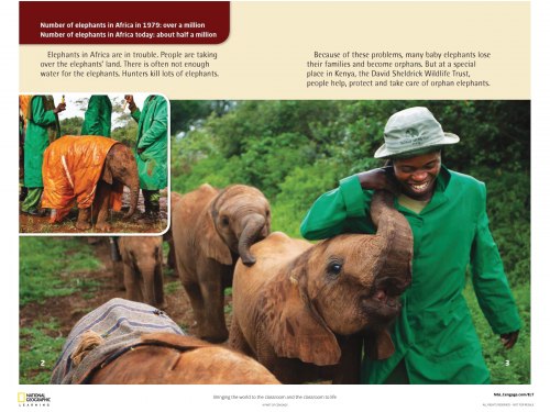 Our World Reader 3: Caring for Elephant Orphans National Geographic Learning / Книга для читання