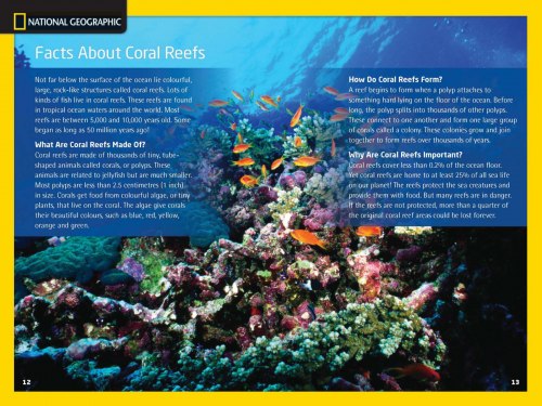 Our World Reader 5: Amazing Beaches National Geographic Learning / Книга для читання